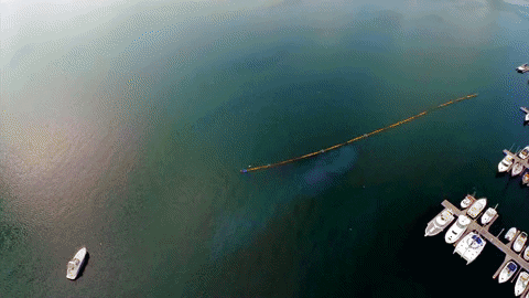 unescobrasil giphyupload GIF