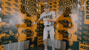 Baseball Bison GIF by NDSU Athletics
