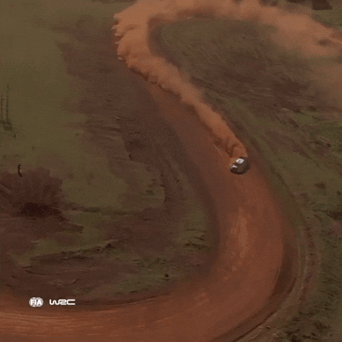 Drift Dust GIF by FIA World Rally Championship