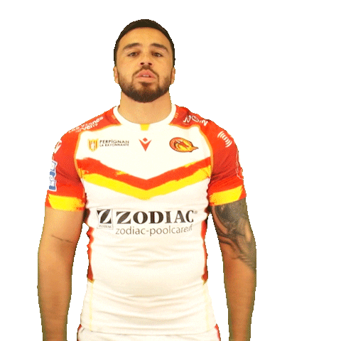 Rugby League Sticker by Dragons Catalans