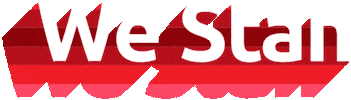 Support We Stan Sticker by VidCon