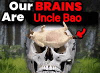 Bao Bao GIF