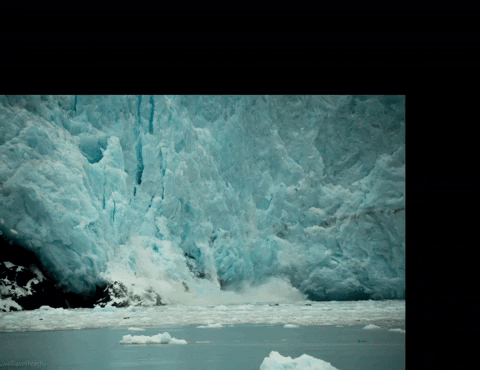 livetravelteach giphyupload GIF