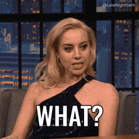 Seth Meyers What GIF by Late Night with Seth Meyers