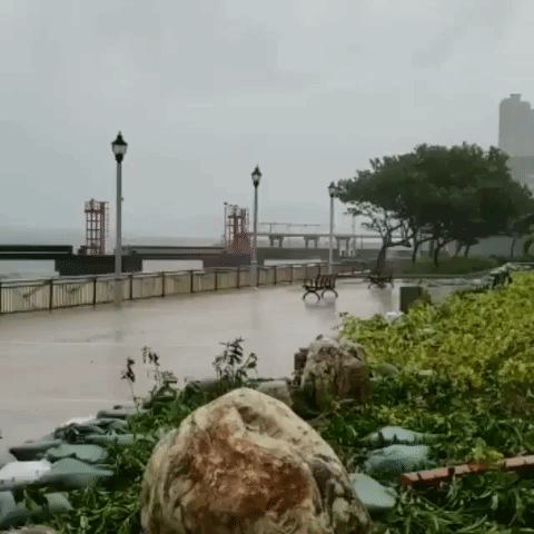 Typhoon Mangkhut Brings Huge Waves to Hong Kong