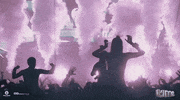 GIF by Disco Donnie Presents