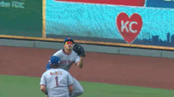 Baseball Nyc GIF by New York Mets