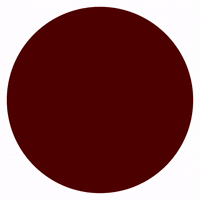 Clan Aga GIF by Asociación Guias Argentinas