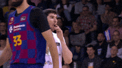 Liga Endesa Basketball GIF by ACB