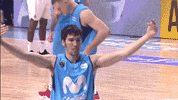 liga endesa basketball GIF by ACB