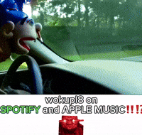Car Crash Sml GIF
