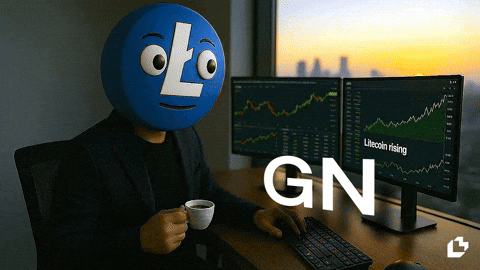 Good Night Crypto GIF by LitVM