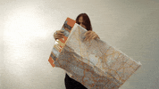 Vacation Wtf GIF by Skrz.cz