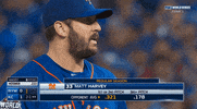 new york mets baseball GIF by WNYC