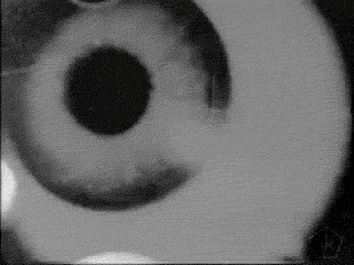 gif1