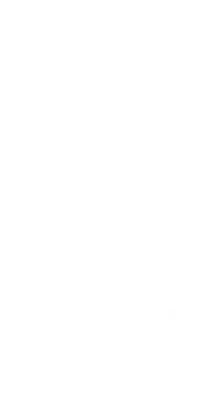 Winter Wonderland Christmas Sticker by 313GIFS