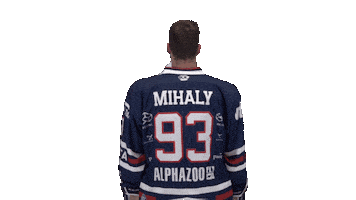 Ice Hockey Sport Sticker by Fehervar AV19