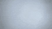 Littlerocksoc GIF by Little Rock Athletics