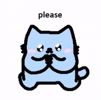 Cat Please GIF
