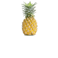 Fructis Sticker by Garnier Greece