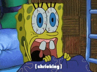 season 2 the secret box GIF by SpongeBob SquarePants