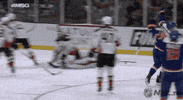 nhl happy sports excited celebrate GIF