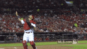 st louis cardinals baseball GIF by MLB