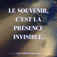 Business Canada GIF by PIMP TA MARQUE