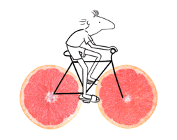 Pale Ale Summer GIF