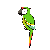 samyvinna guacamaya guacamayascalentanas guacamayaverde Sticker
