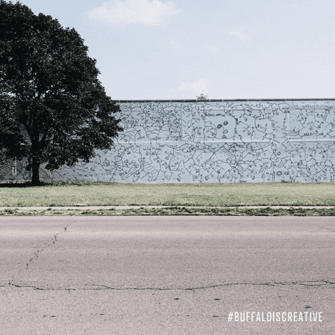 Buffalo Ny Photography GIF by Wonder Brink