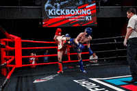 RCC_Sport fight knockout boxing rccboxing GIF