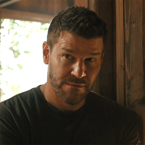 TV gif. David Boreanaz as Jason on SEAL Team nods slowly and his eyes move from left to right subtly. Text, "Hmm."