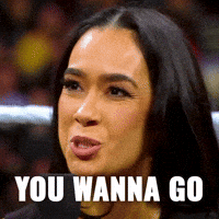 Fight Me Aj Lee GIF by WWE