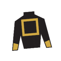 Sport Silk Sticker by Kentucky Derby