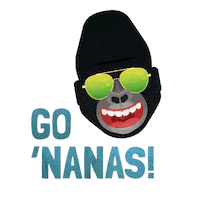 sunglasses smiling Sticker