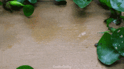 Satisfying Stop Motion GIF by CreativeCooking