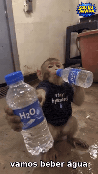Calor Macaco GIF by Sou Eu Na Vida