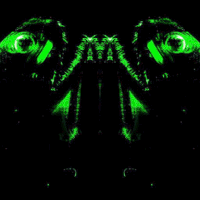 art loop GIF by Death Orgone