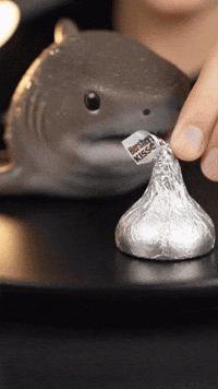 Trending Vibe GIF by Darwin