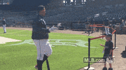 Major League Baseball Sport GIF by Detroit Tigers