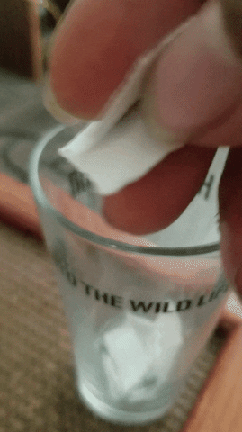 TheApocalypse giphyupload GIF