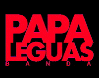 bandapapaleguas carnaval bahia salvador carnaval da bahia GIF