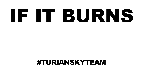 Oled Turiansky Sticker by The Verifier