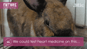drug testing video GIF