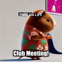 Guinea Pig Club GIF by Guinea Gambino
