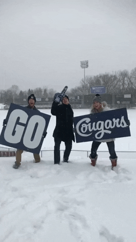 snow day emcee sam GIF by Kane County Cougars