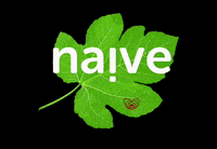 thenaivecompany naive thenaivecompany naivecoffee GIF