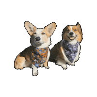 Corgi Ghibli Sticker by Geekster Pets