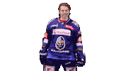Hokej Jagr Sticker by Rytíři Kladno